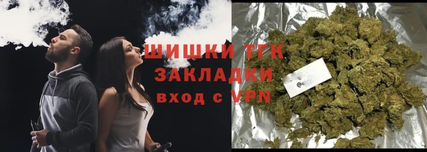 крисы Грязовец