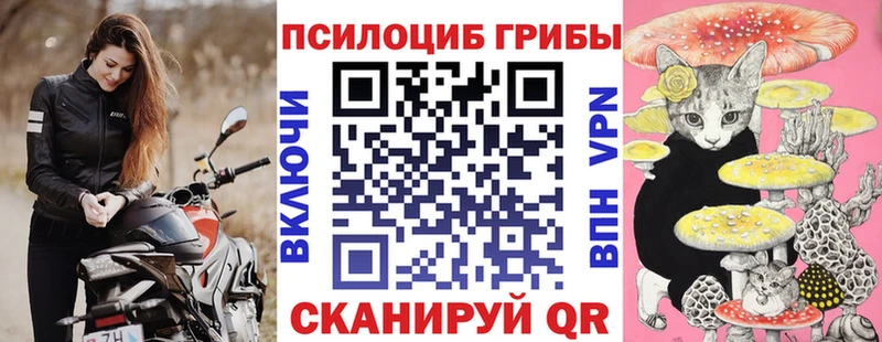 blacksprut вход  Таштагол  Галлюциногенные грибы прущие грибы 